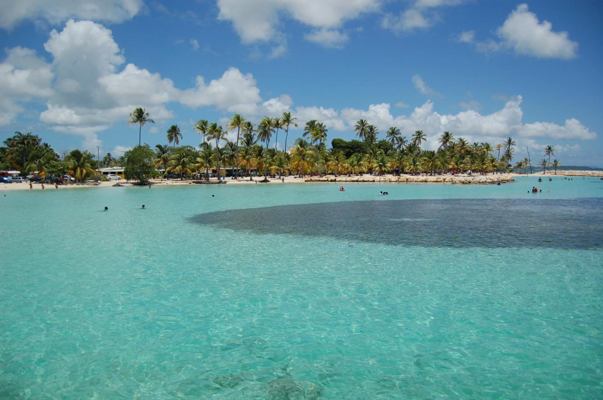 Appartamento Couleurs Caraibes - Plage Et Tranquillite Sainte-Anne  Esterno foto